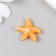 Figure for Florarium Polystone "Sea Star" mix 2.5x2.5x0.8 cm