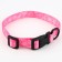Collar My Little Princess, fastener - Fastex, 2 cm 25-40 cm