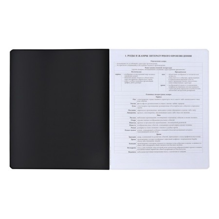 Subject notebook, 48 sheets, ruler, literature Erichkrause "Ves in the root", plastic cover silk-screen covers, Blok OFSET 100%, information block-2