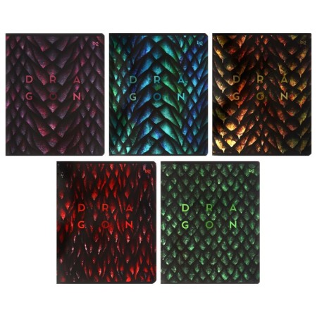 Notebook 48 sheets of Dragon-Like cage, covered cardboard, metallization, mix
