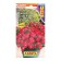 Petunia Semyon of the Jacondance Mini F1 Dark Pink Saturn, 7 pcs