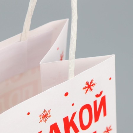 Package gift craft "Gift", 12 x 21 x 9 cm, New Year-5