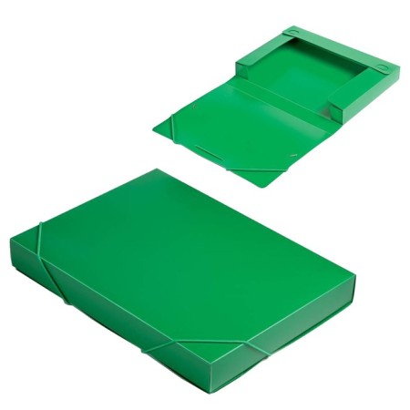 A4, 700 μm, calligrata gum folder on the elastic band, a spine of 40 mm, up to 300 sheets, green