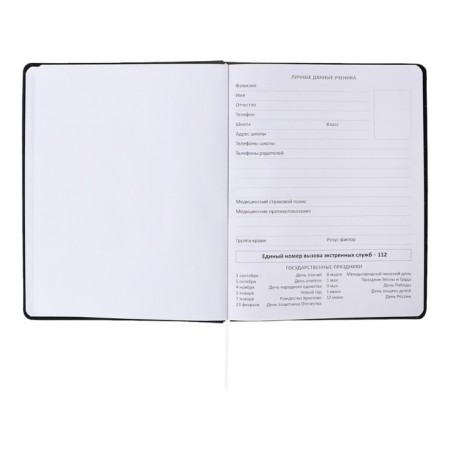 Universal diary for grade 1-11, solid cover, artificial leather, foil embossing, liesse, 80 g/m2-4