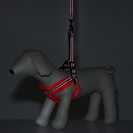 The ammunition kit is soft, reflective, leash 120 x 1.5 cm, Osh 35-53 cm, orange-9