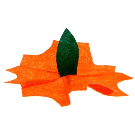 Carnival set "Autumn pumpkin", felt-11