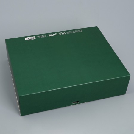 Happy New Year folding box, embossing, green, 31 x 24.5 x 9 cm, New Year-6