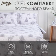 Lovelife 2PS BELIENT “Winter Fairy Tale”, 175x215cm, 200x225cm, 50x70cm-2pcs, 100%cotton, satin