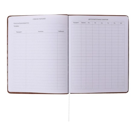 Universal diary for grade 1-11 Feel Inspired, solid cover, artificial leather, foam rubber, foil embossing, liesse, 80 g/m2-5