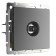Two-out-of-term terminal (matte graphite) W1183064