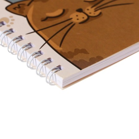 Album for drawing A4, 32 sheets on the crest "Coat", covered Cardboard, OFSET block 100 g/m²-2