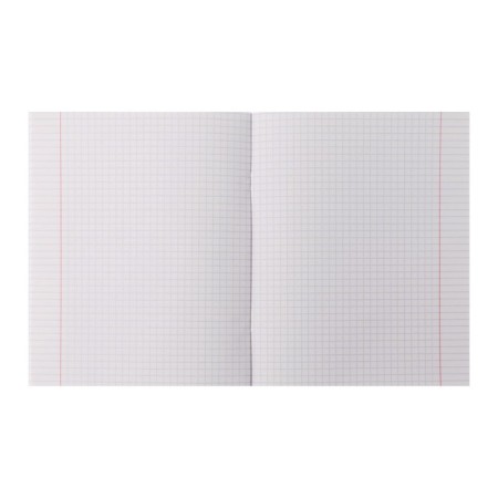 Subject notebook, 48 sheets in the cell of "neoclassic", physics, covered cardboard, with reference information-2
