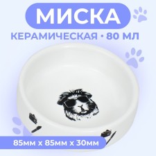 Ceramic bowl for rodents 