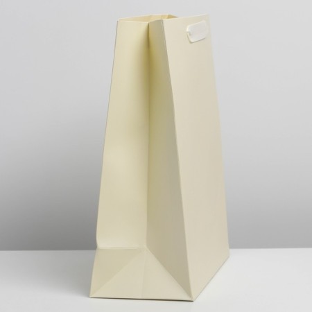 Gift laminated package, packaging, "milk", l 31 x 40 x 11.5 cm-1