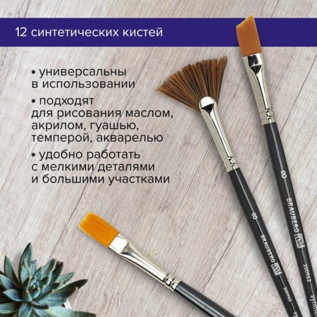 System of Synthetics 12 pieces, Brauberg Art Classic-18