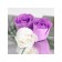 Soap roses, white and purple, set of 6 pcs.