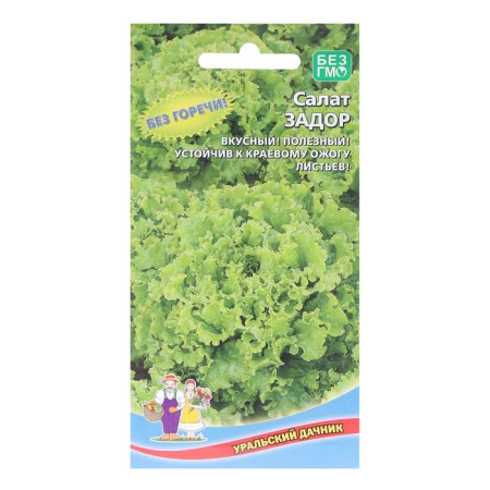 Salad Seeds "Zador", 0.3 g