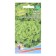 Salad Seeds "Zador", 0.3 g