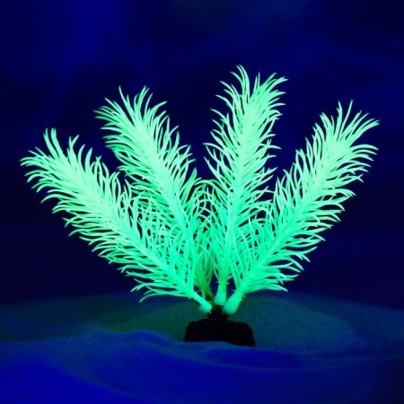 The plant is artificial aquarium, luminous, 10 cm, green-3