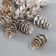 Decor for creativity "bump" set 12 pcs 2.5x1.5x1.5 cm