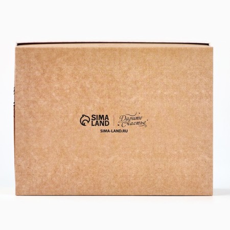 Gift Box Pressent 16.5 x 12.5 x 5 cm 9671281-2