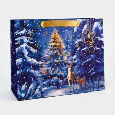 Package New Year's laminated 