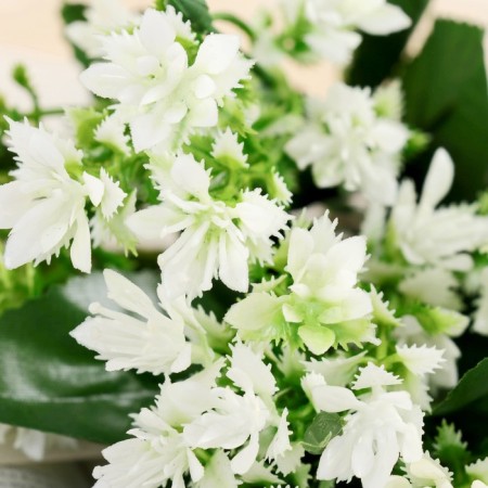 Букет "Декабрист" 26 см-1