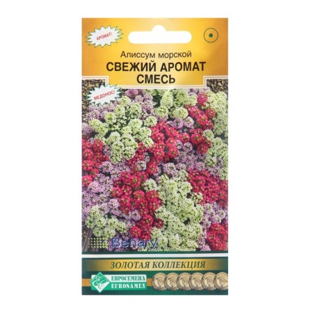 Seeds of flowers Alissum Sea "fresh aroma", dragees, 10 pcs,