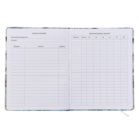 Universal diary for grade 1-11 Watching You, solid cover, artificial leather, foam rubber, liesse, 80 g/m2-3