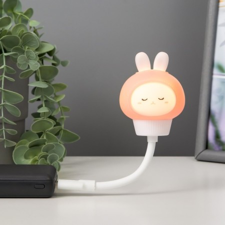 LED LED LED P.Beler USB white-pink 6.8x6x19 cm Risalux keyboard