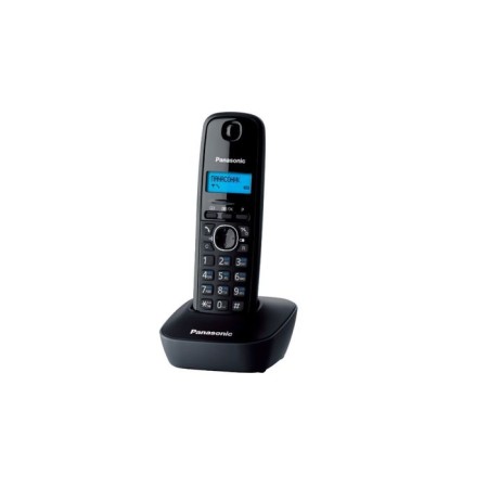 Radio Telphone Dect Panasonic KX-TG1611RUH Gray, AO-2