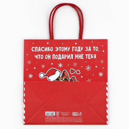 Gift package “Thank you this year”, 22 x 22 x 11 cm, new year-7