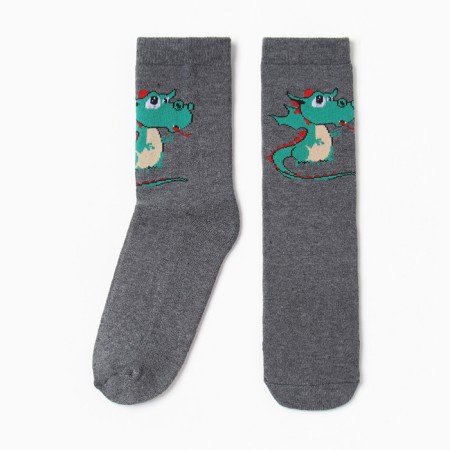 Women's socks "Dragon" with terry inside, color gray/cage, size 36-40