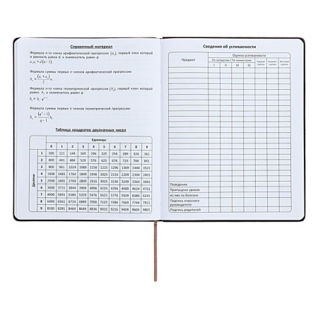 Universal diary for grades 1-11 "strip", solid cover of artificial leather, silkography, lies, 48 ​​sheets, chocolate+turquoise-13