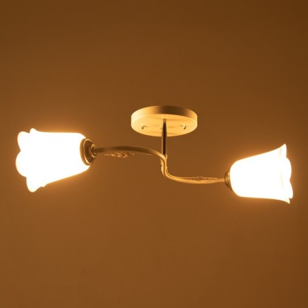 Lily chandelier (flower) 2x15W E27 Model: BR 00255 White-2