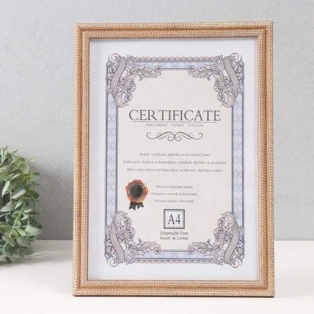 Photo frame Plastic format A4 "Double Spit" wheat 23.4x32.1x1.1 cm