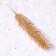 Decor "spray spruce gold", set 2 pcs., Size 1 pc. - 22 × 4 cm