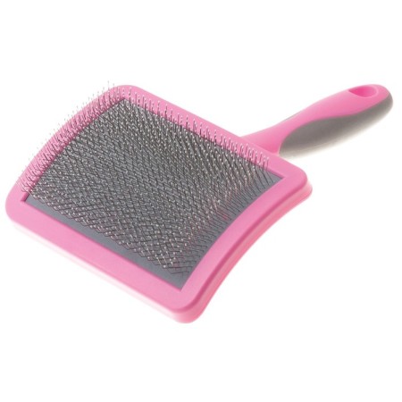 Delight rose packer is plastic, with a drop, large, pink
