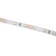 Ecola Pro 5 m, IP20, SMD2835, 60 LED/m, 8 W/m, 12 V, 6000K