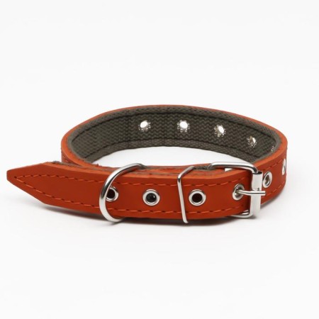 Collar combined leather/tarpaulin, dimensionless, 54 x 2.5 cm, Osh 17-45 cm, red-1