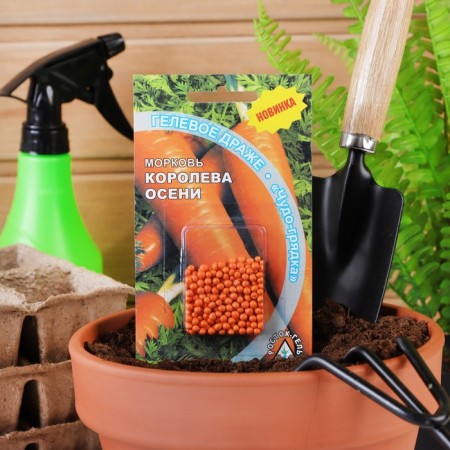 Seed Carrots "Queen of Autumn" Gel Drage, 300 pcs-2