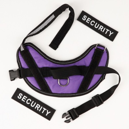 C9 sloping is soft reflective, size XS, OG 38-50 cm, weight 3-6 kg, purple weight-5