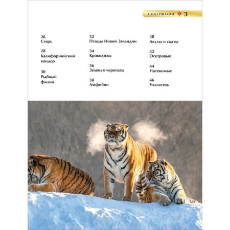 Children's Encyclopedia. Red Book-3