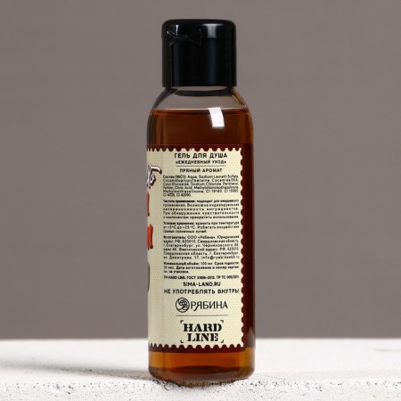 Shower gel “Happy New Year, bro!”, 100 ml, spicy aroma, pure happiness-2