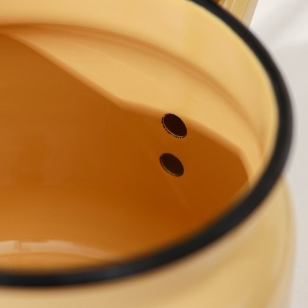 Kettle, 2.3 liters, induction, stealing color-2