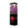 Ordinary lilac "twilight" 1 pc, tube, spring 2025