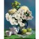 Diamond mosaic with full filling on the canvas "still life", 40 x 50 cm