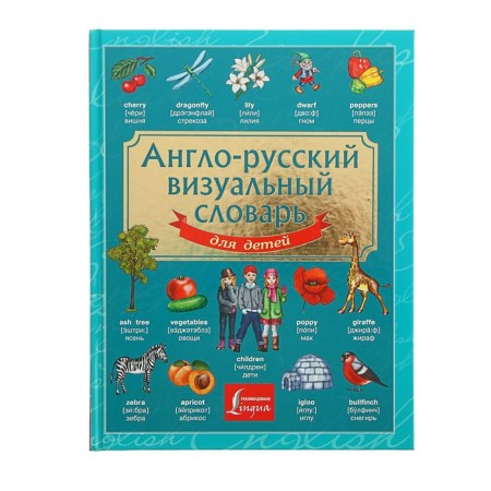 Anglo-Russian visual dictionary for children