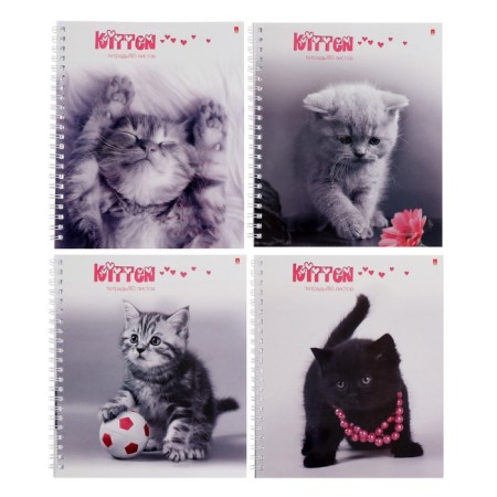 A notebook of 80 sheets in a cage on the crest "Kittens", a cover coated cardboard, glossy lamination, mix