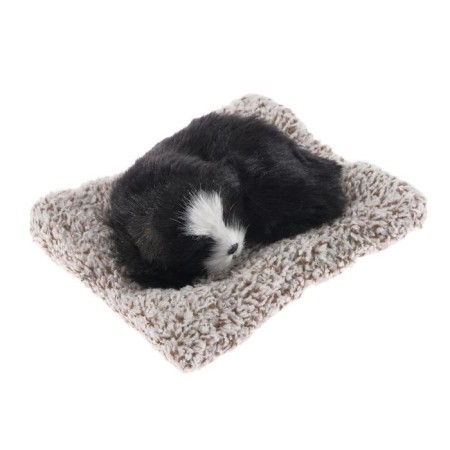 Toy on a car panel, dog on a pillow, black color-3